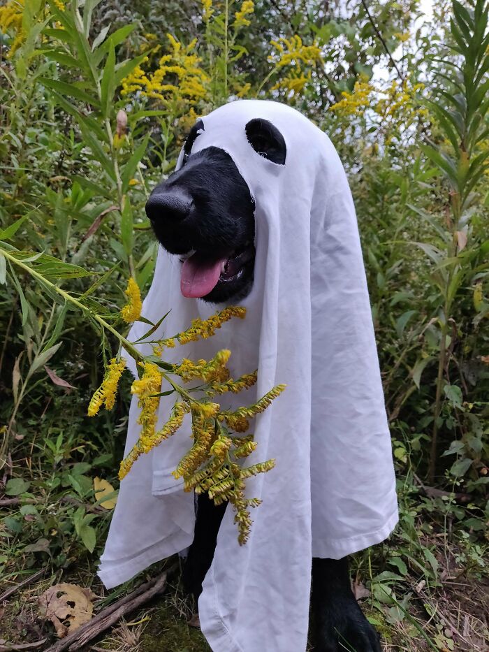 Throwback To Last Halloween