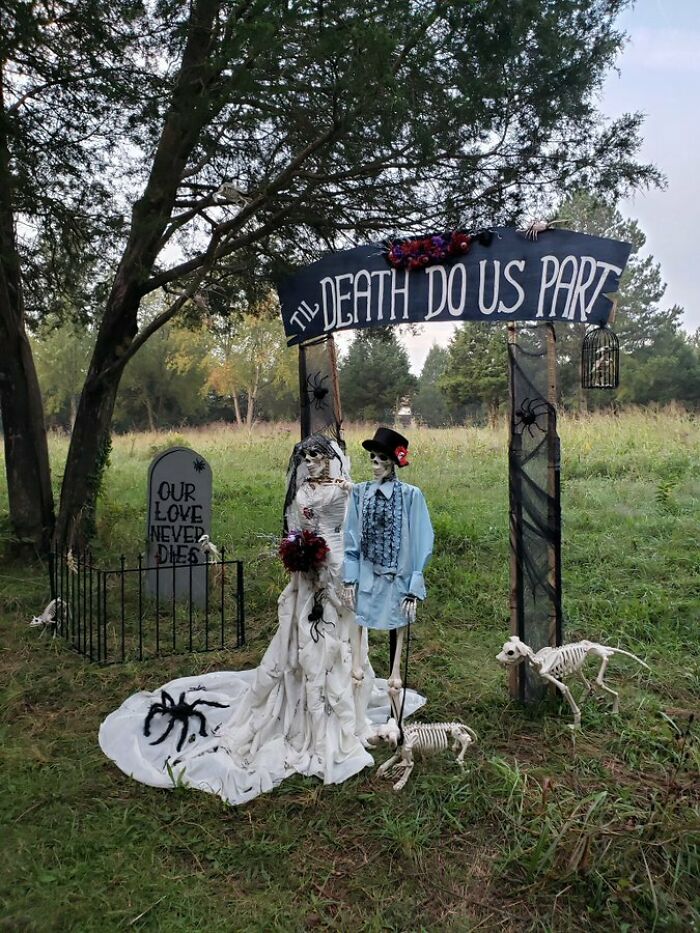 Our Display For The Office