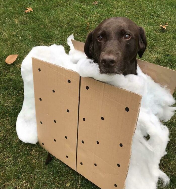 Here Have A S’more