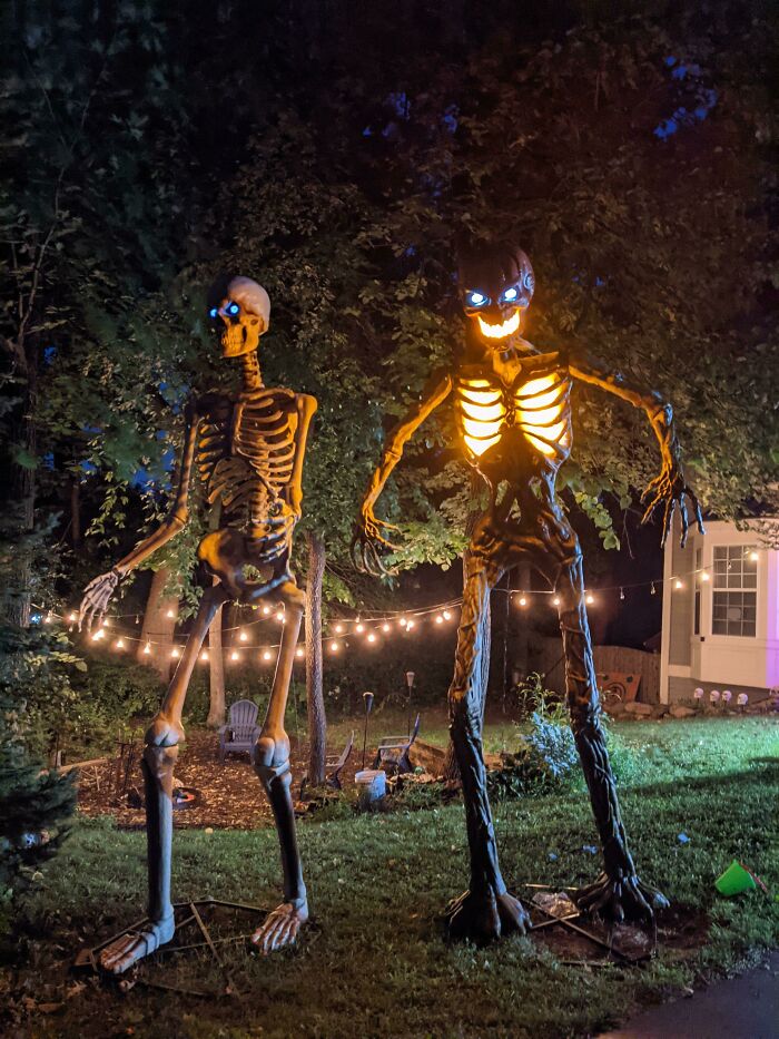 Skelly Found A New Friend