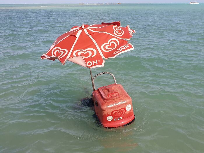 This Guy Sells Ice Cream In The Ocean Near The Coral Reefs Of Maragogi, Brazil