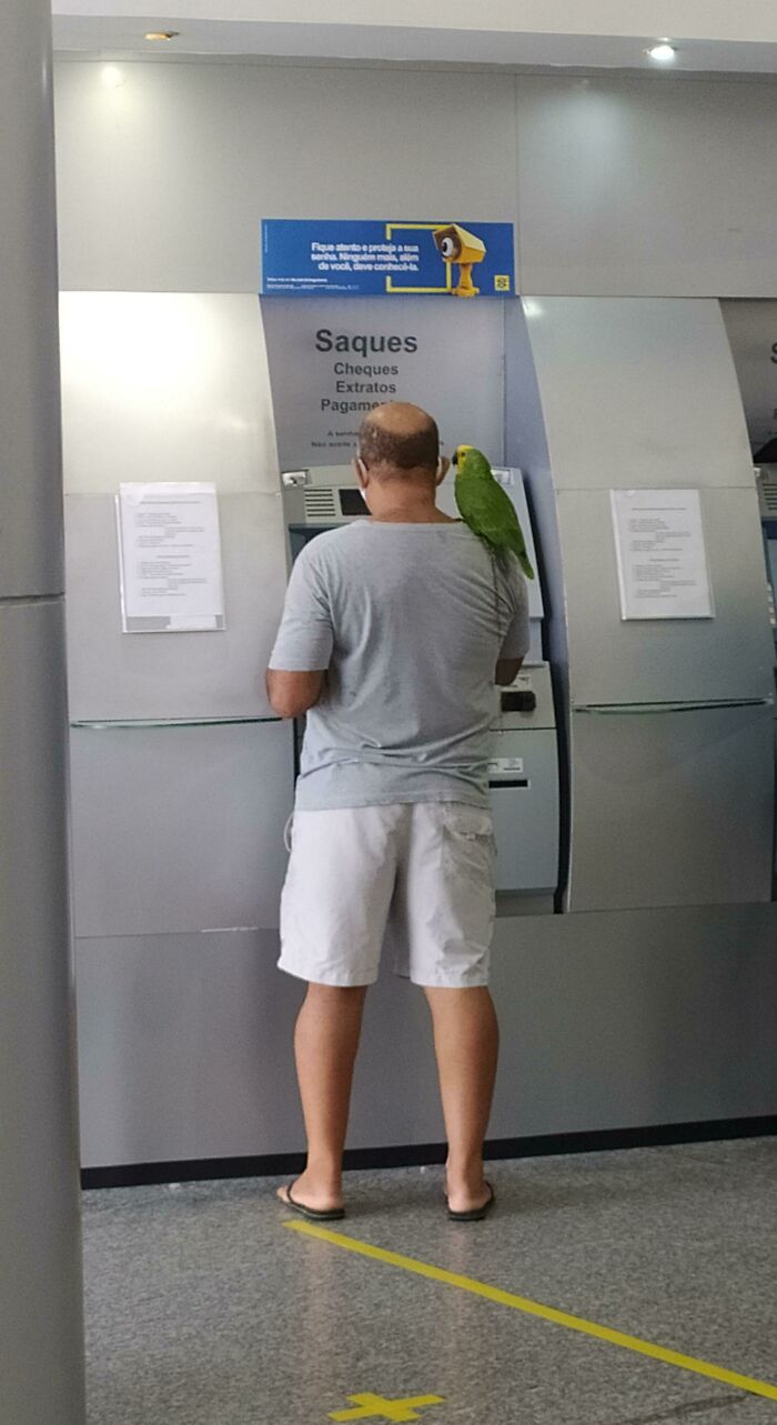 Man's Best Friend, Always At Your Side