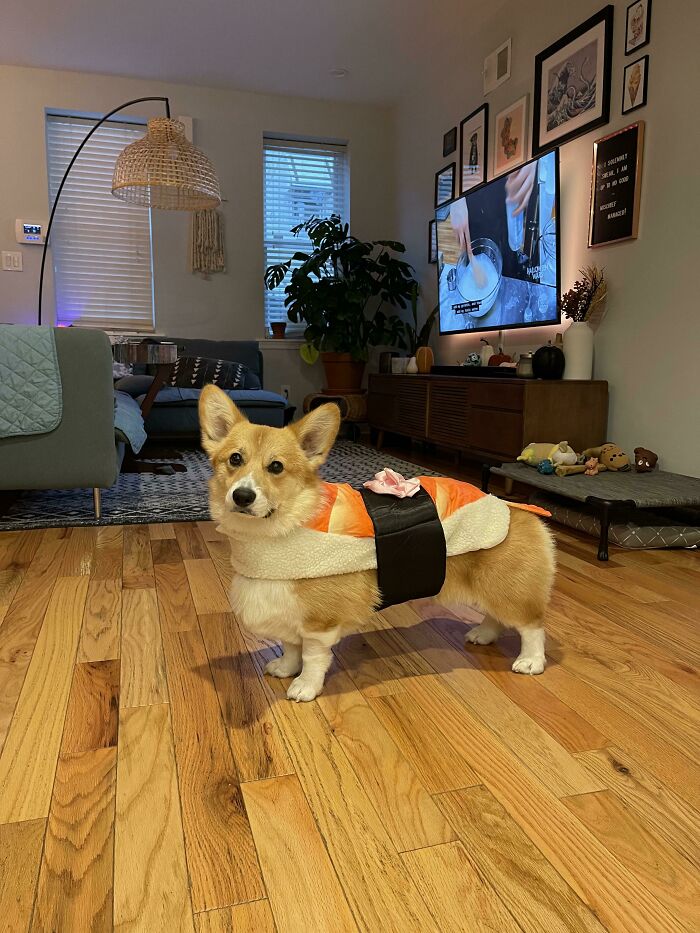 Bean Is Not Impressed With His Costume