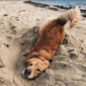 genevievedelangie avatar