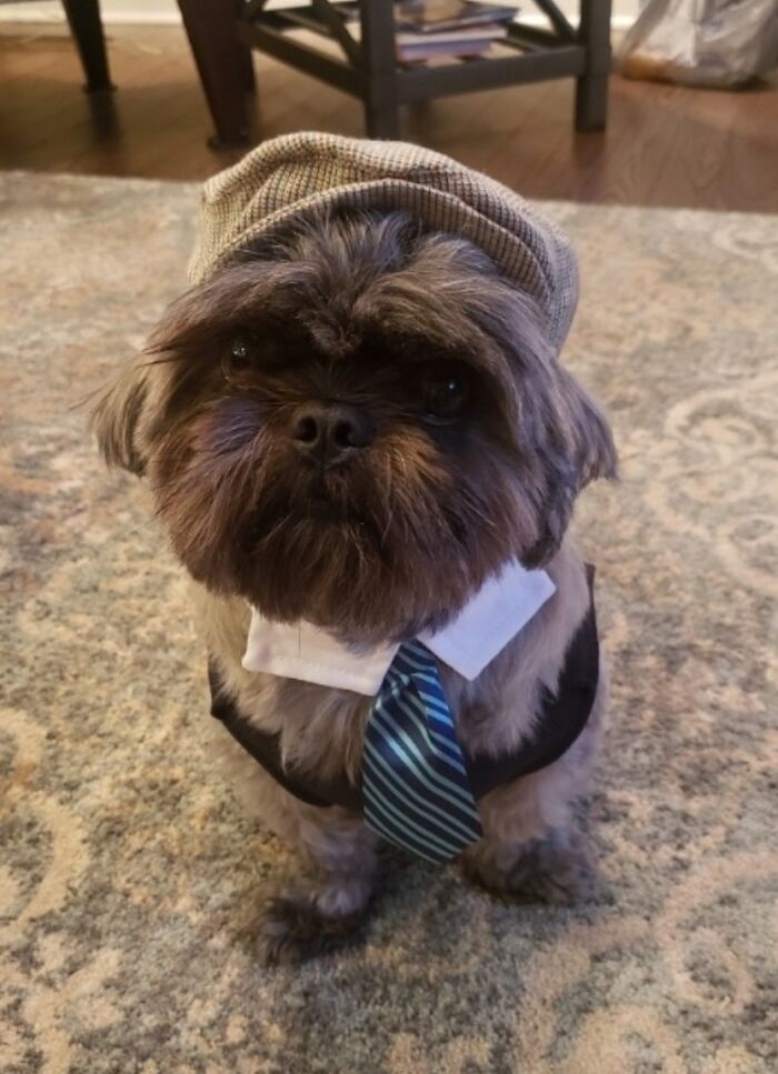 We're Trying On Halloween Costumes Today