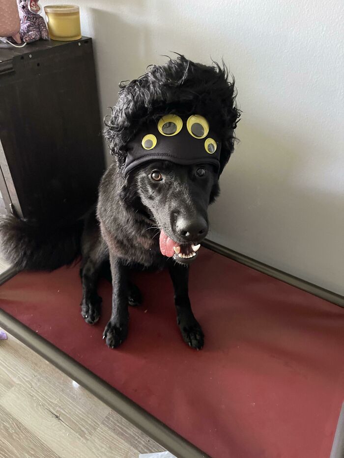 Sneak Peak At Her Costume