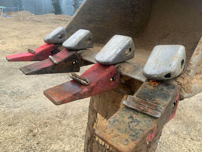 The Difference Between Brand New Teeth And 800 Hours Of Digging