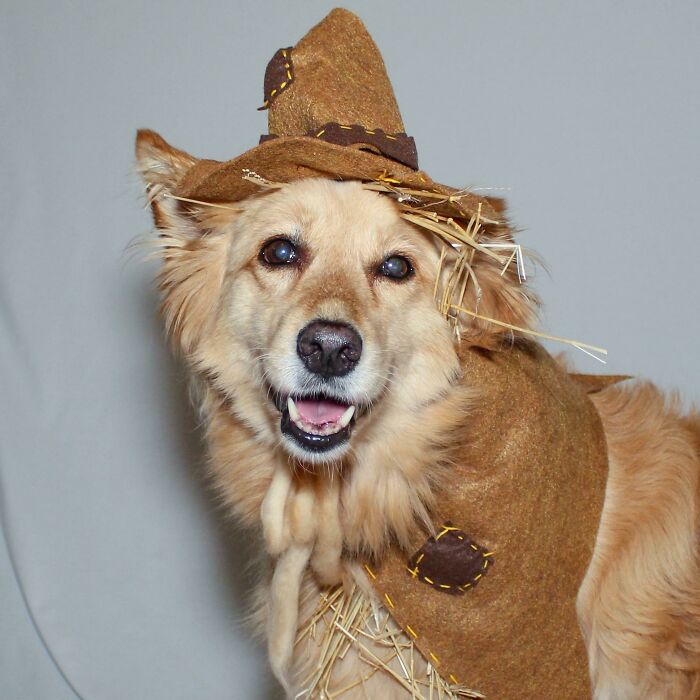 Too Early For Costumes?