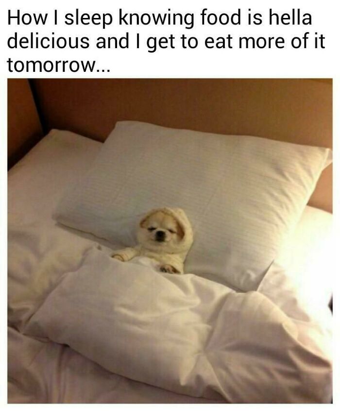 Food Coma Got Me Like