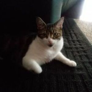 shelley_thibeau avatar