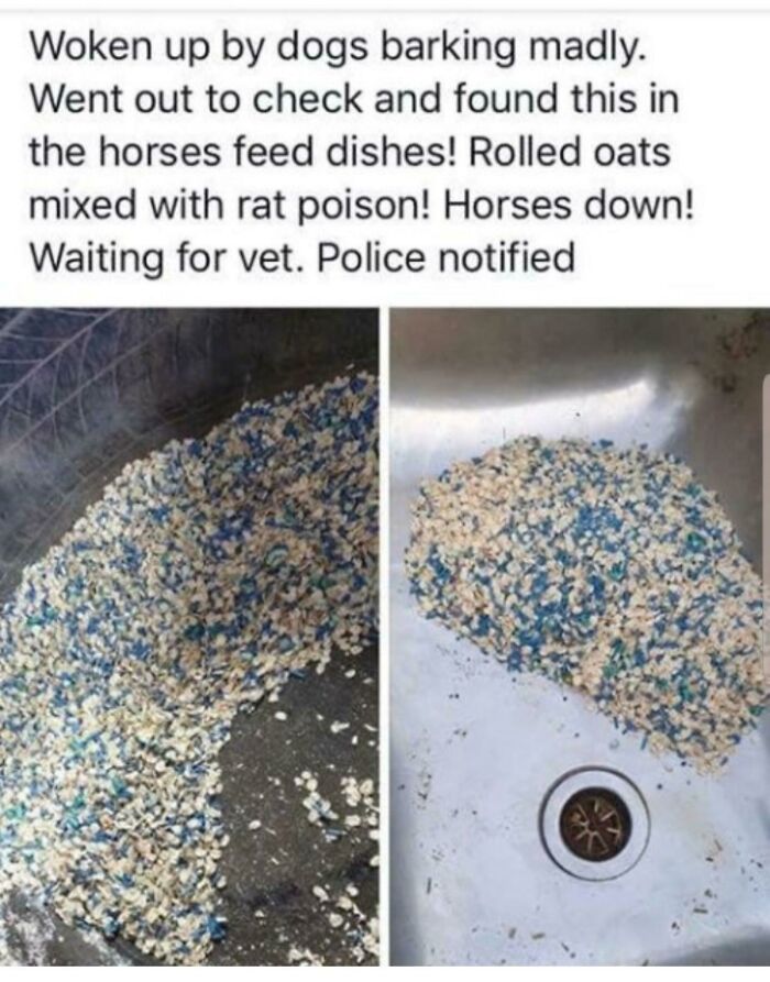 The Person Who Did This