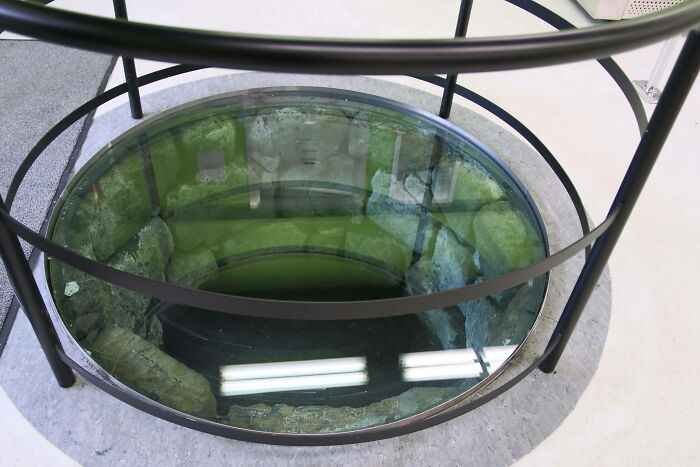 A Convenience Store In Reykjavik, Iceland Has A Well As You Walk In