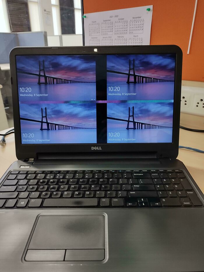 I Present To You, Windows 40