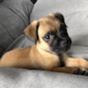 markusgoldschmidt avatar