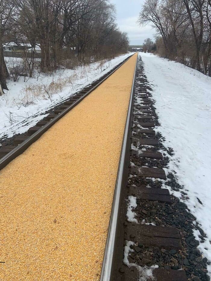 A Train Car In Minnesota Carrying Corn Had A Leak