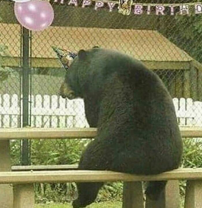 Blursed Birthday Boy
