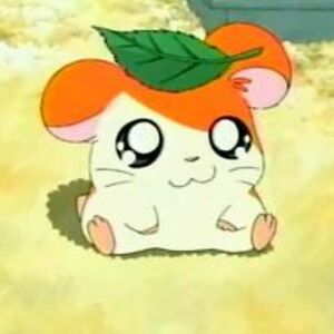 abbyharrison3892 avatar