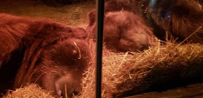 Two Cuties At The Columbus Zoo