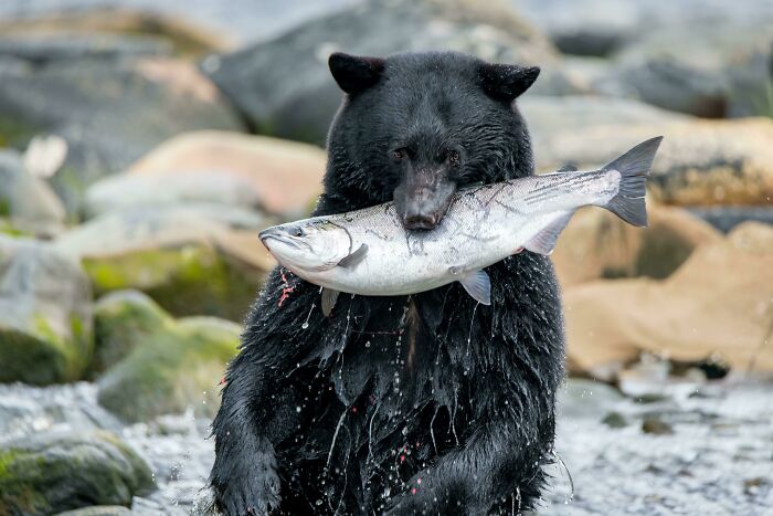 Shot Of The (Yester)day