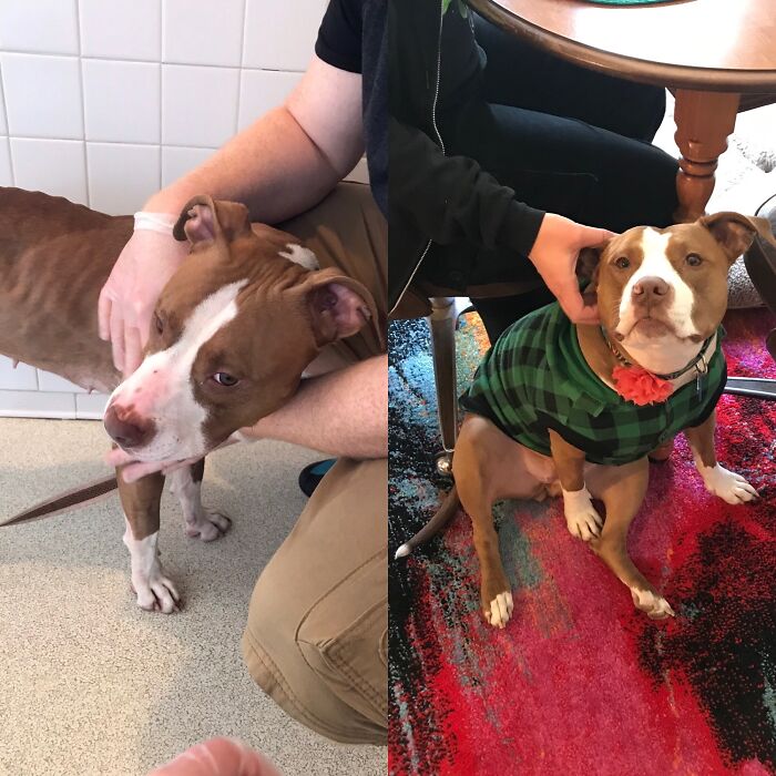 Nora Went From Neglected And Starving To Getting Fussed Over 24/7