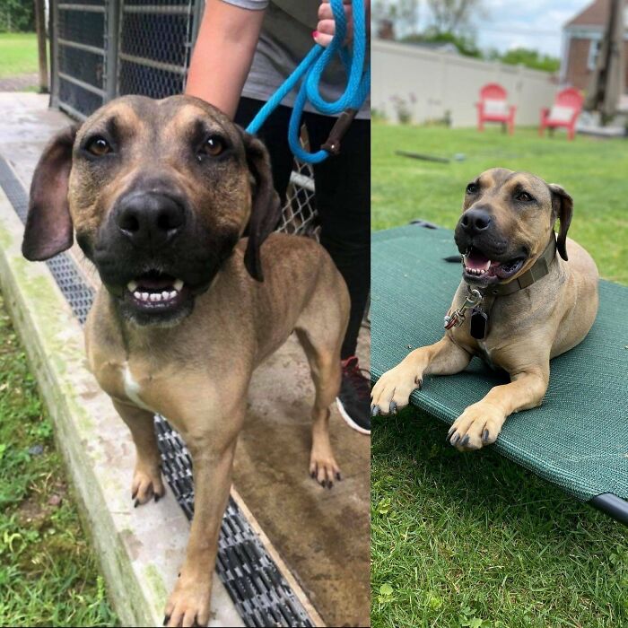 Yesterday Made One Year With This Boy- From A Skinny Stressed Out Mess To Just A Mess