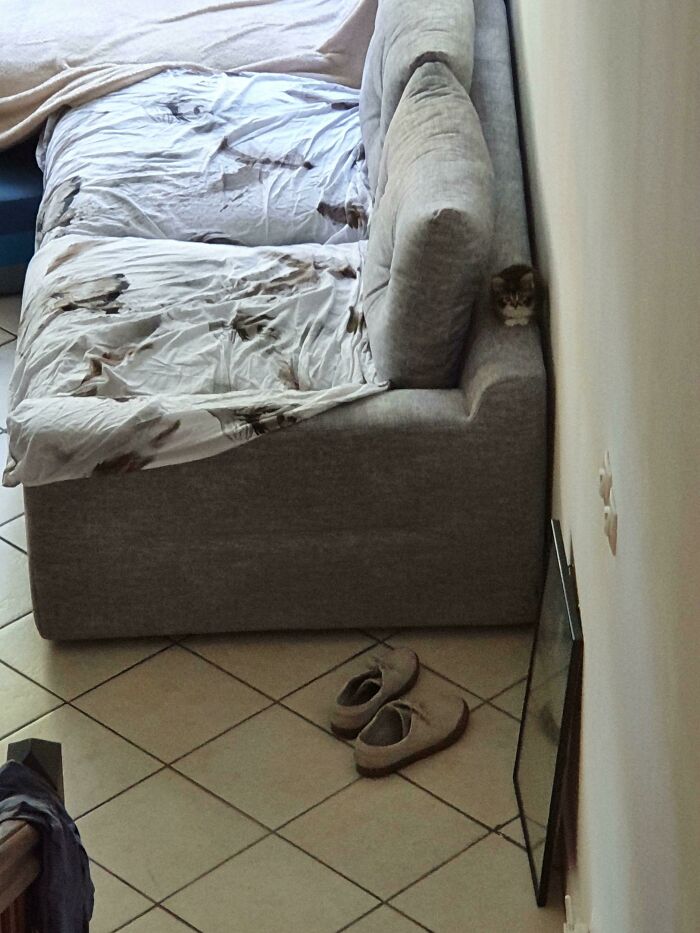  Percy, cuando tenía 2 meses