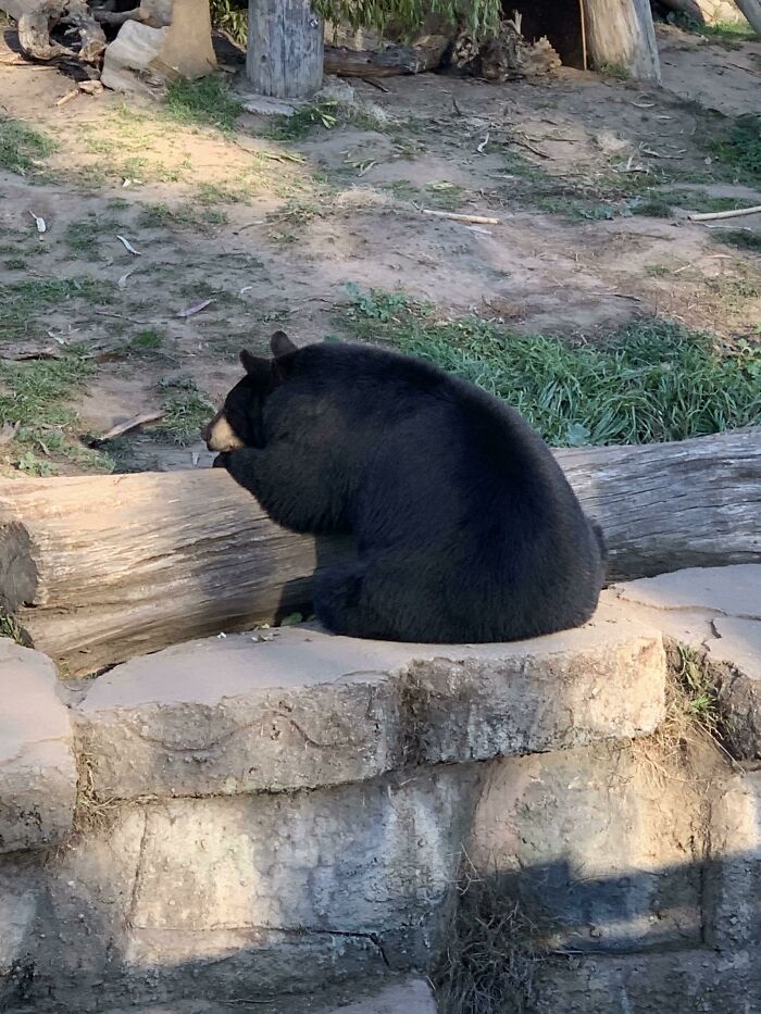 Contemplating The Meaning Of Life