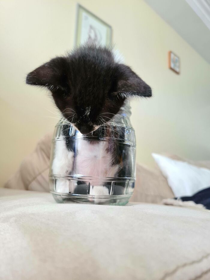 She Fell Asleep Like This. My Heart Is Melting