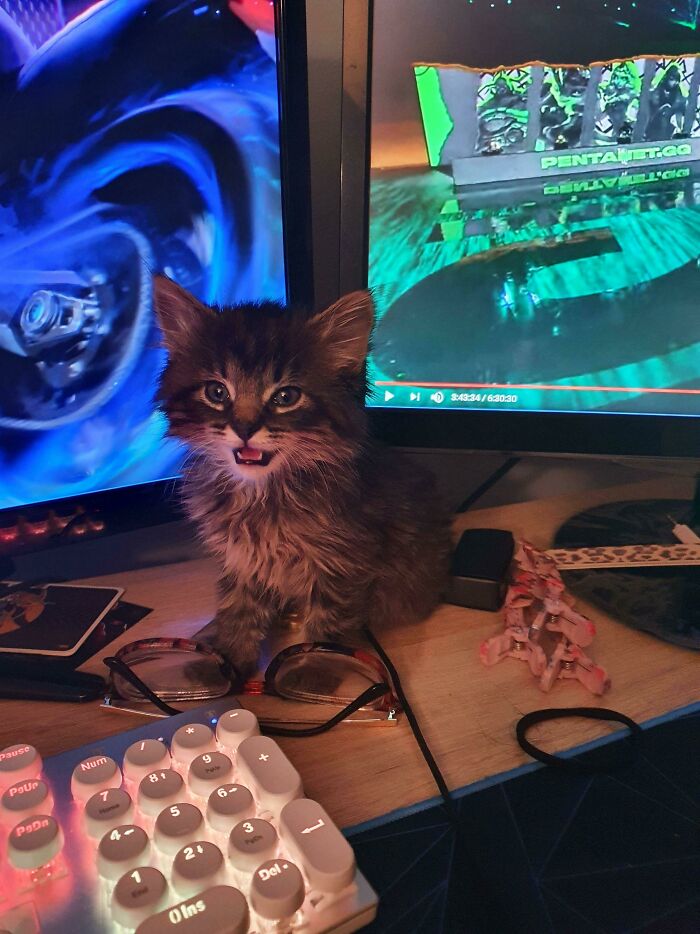 So Glad I Found This Subreddit! This Is Tabitha