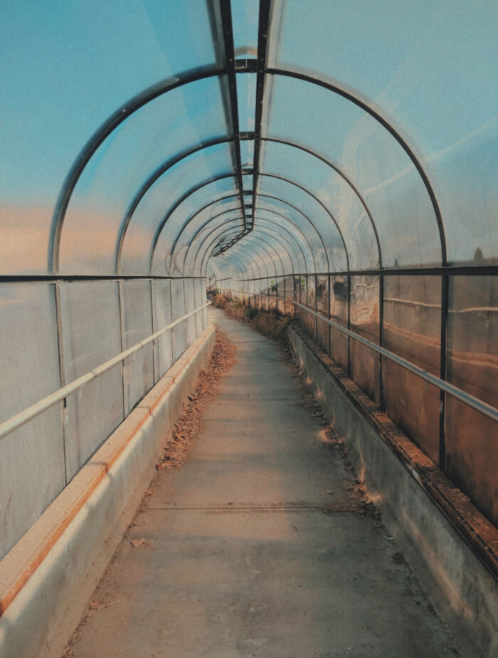 Feels Like I Shouldn't Turn Around. Just Keep Walking