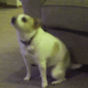 unknownhacker avatar