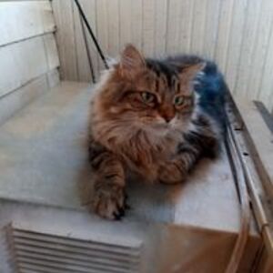 rainwater6363 avatar