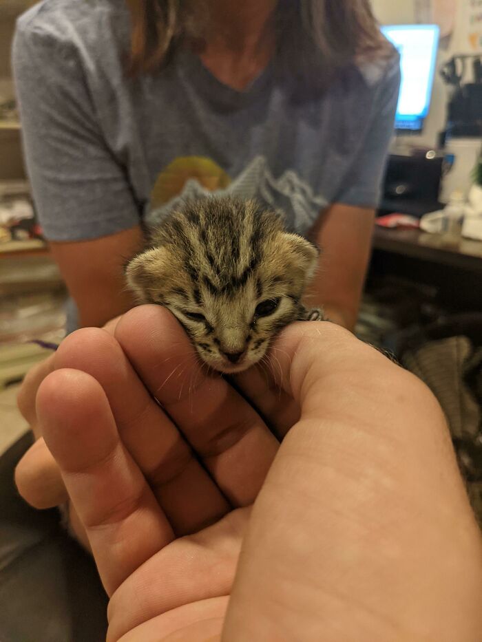 My Mom Rescued This Little Cutie