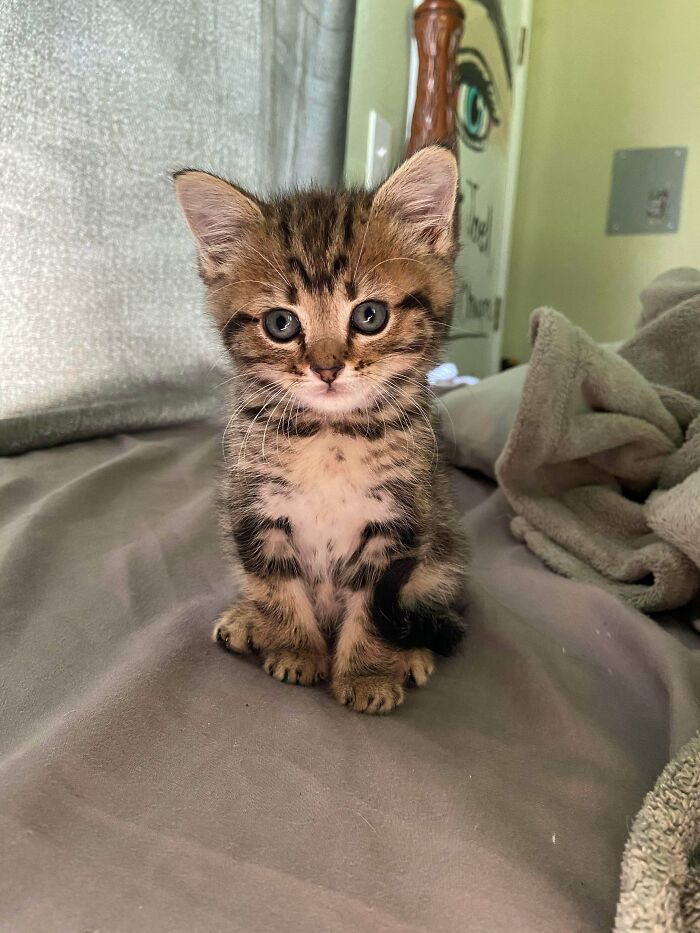 Arrestado por robar toda la atención de mi novia