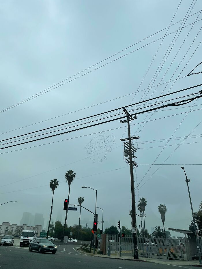 Saw This On A Walk It’s Nearly Invisible From Any Other Angle