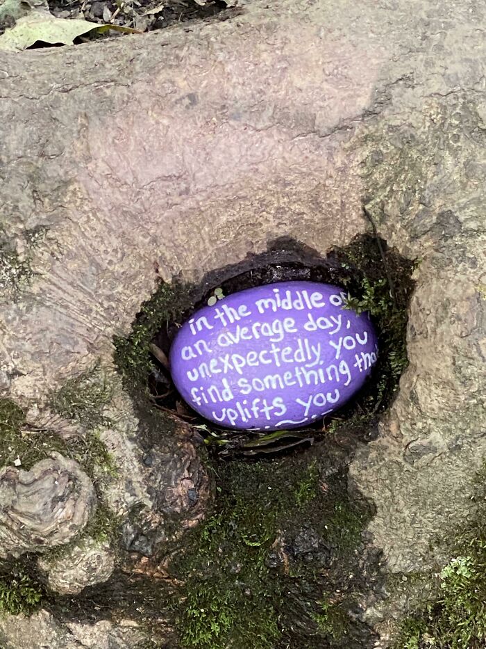 Found On A Hike Right Outside Of Stowe, Vt.