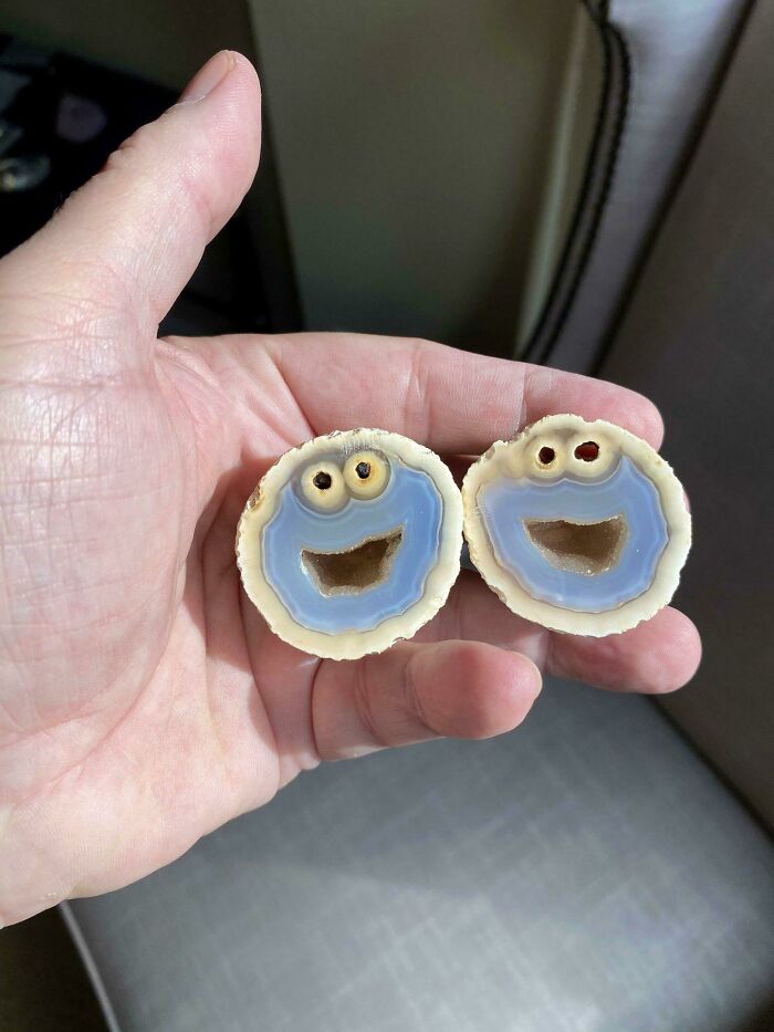 Geologist Finds Rare Formation Inside Rock That Looks Exactly Like Cookie Monster On Sesame Street