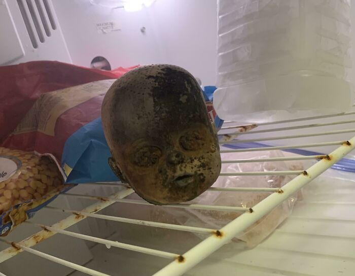 Found A Doll’s Head While Diving In An Adirondack Lake. Left It In The Freezer To Surprise The Next Visitors To Our Timeshare