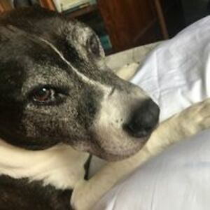 marty_donghle avatar