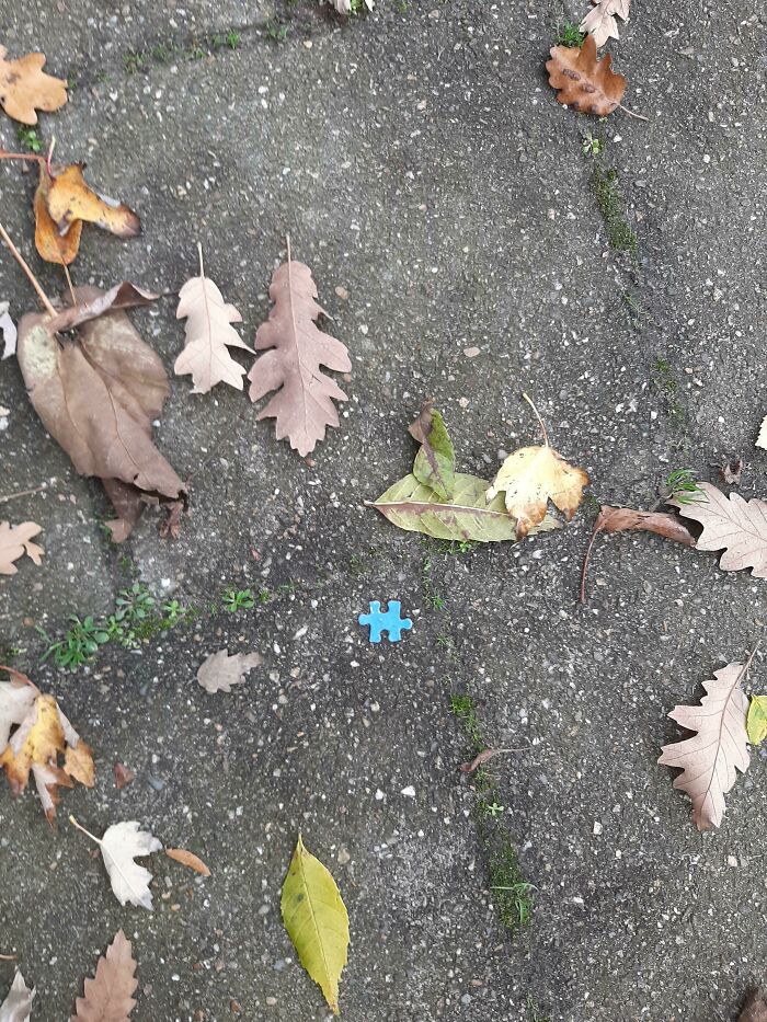 Found This Outside. Someone's Day Will Be Ruined