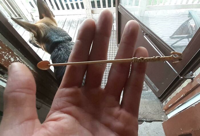 "McSpoon" That Was Banned In 1979 Turned Up In My Yard