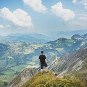 dobbyisfree49 avatar