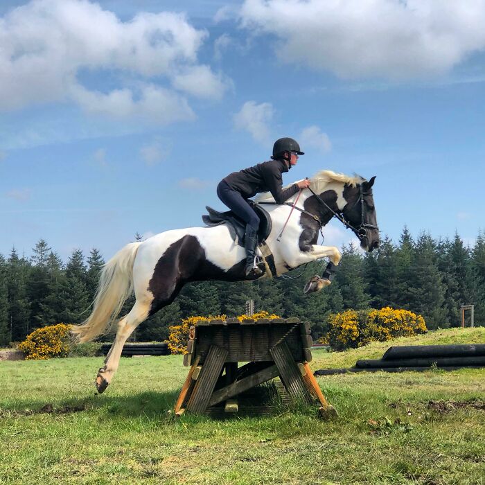 Person riding and jumping horse