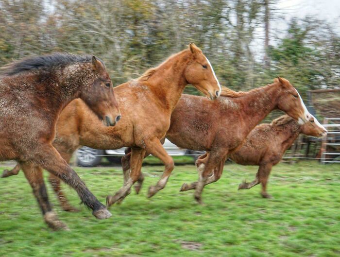 Accidentally Caught This Awesome Pic. Feels Like The Four Horses Of The Apocalypse On A Steam Roll