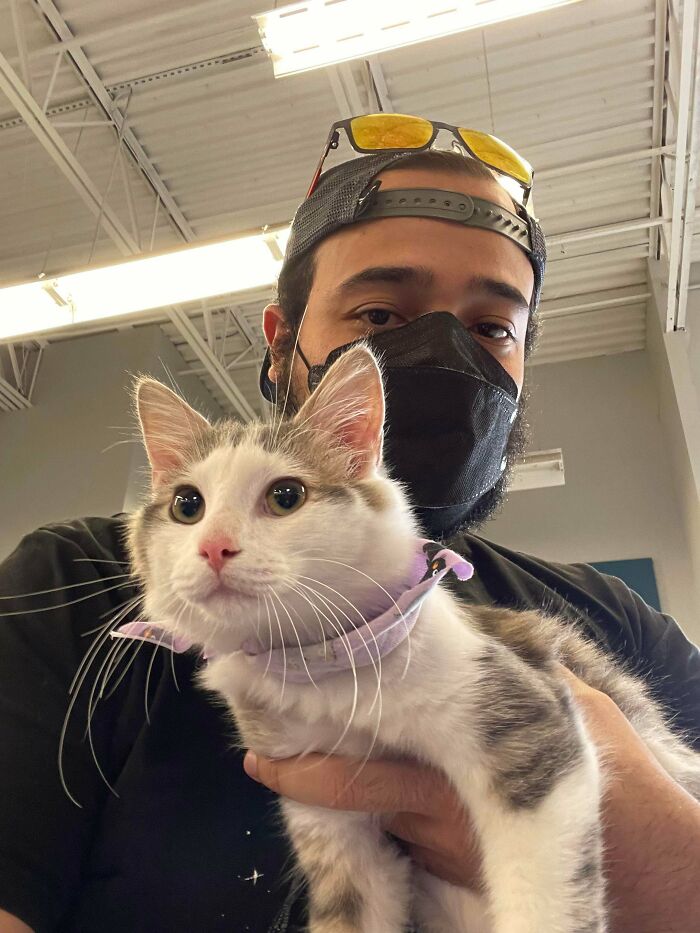 Ayúdame a ponerle nombre a este guapo muchacho (actualmente en proceso de adopción); hasta ahora estaba pensando en Gandalf [porque es blanco y gris].