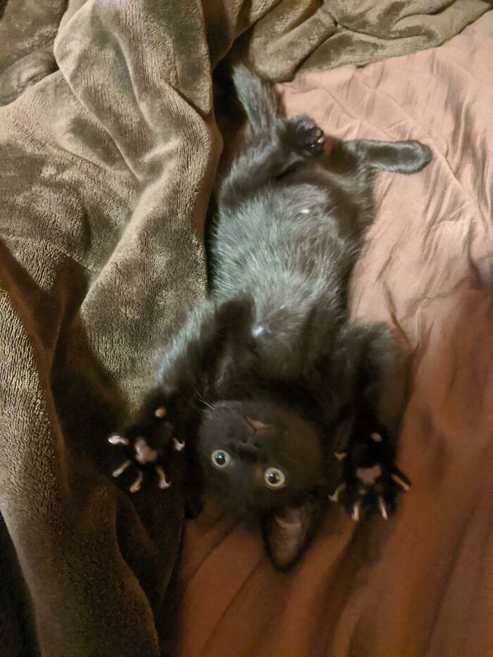 Un agujero negro con pequeñas manoplas asesinas