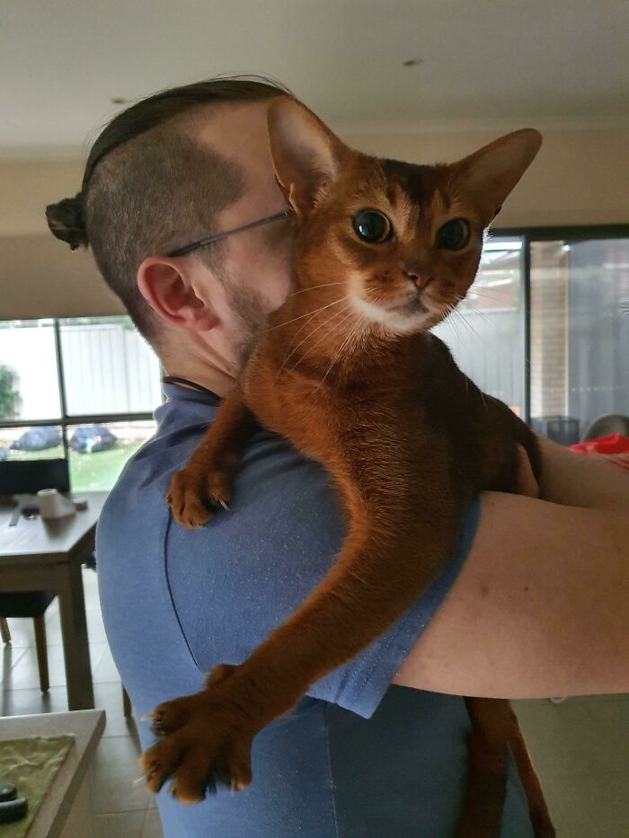 Al parecer, mi adorable niña consideró que no estaba recibiendo la atención suficiente y comenzó a treparme