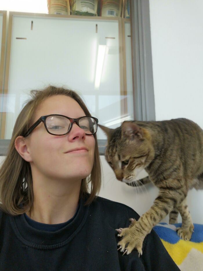 Held At Claw Point For Pets. I Obliged