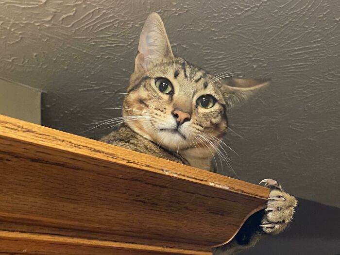 Not-So Subtle Reminder That I Can Kill You...