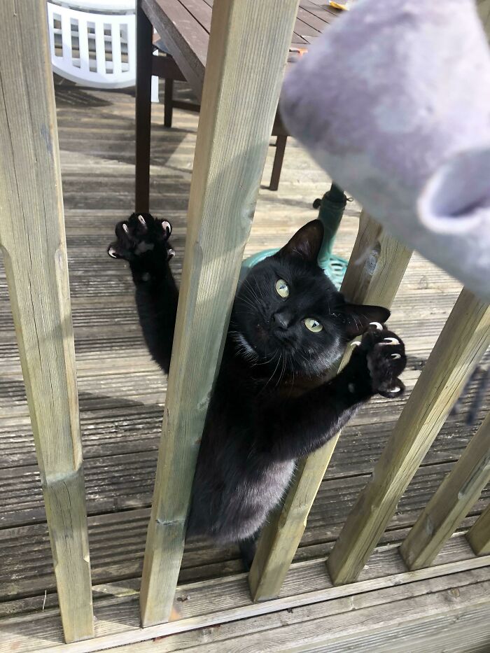 Dame un abrazo, ¡te prometo que no te dolerá!